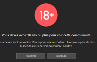 Voici les techniques envisageables pour contourner le blocage des sites pour adultes